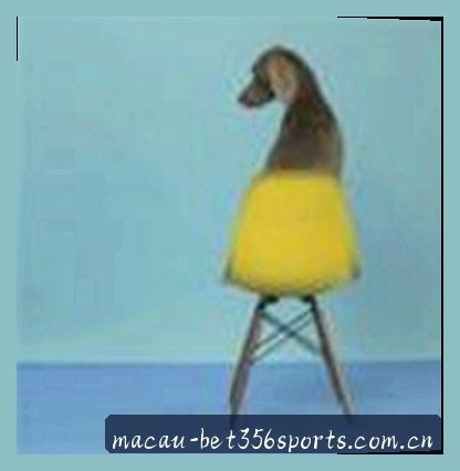 赵明